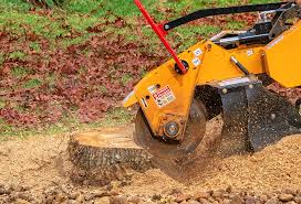Best Tree Risk Assessment  in Fairport, NY