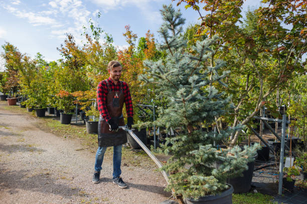 Best Tree Trimming and Pruning  in Fairport, NY